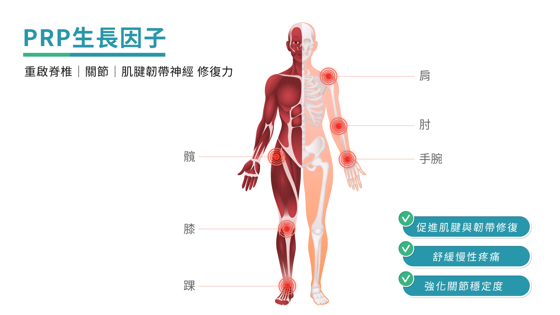 line_oa_chat_251203_150850